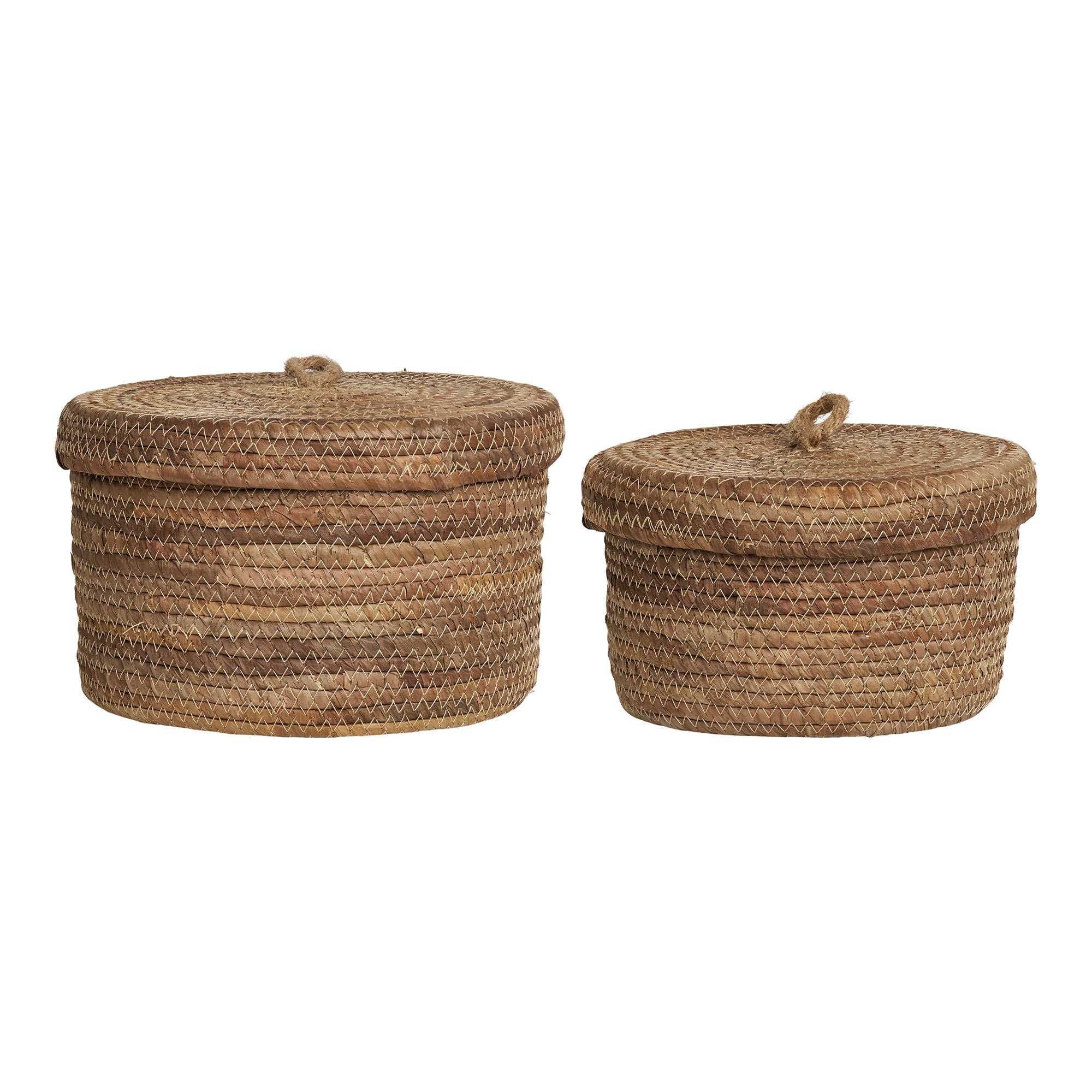 Baskets DESIO 4401563